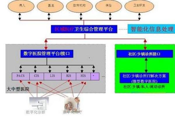 深入了解IPO怎么读：发音与应用解析