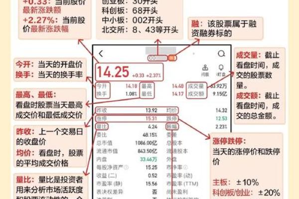 初学者如何有效操作股票市场与投资技巧