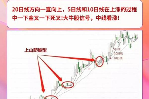 深入分析如何有效解读20日均线的投资策略