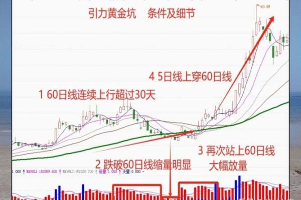 深入解读放量缩量背后的市场趋势与投资策略